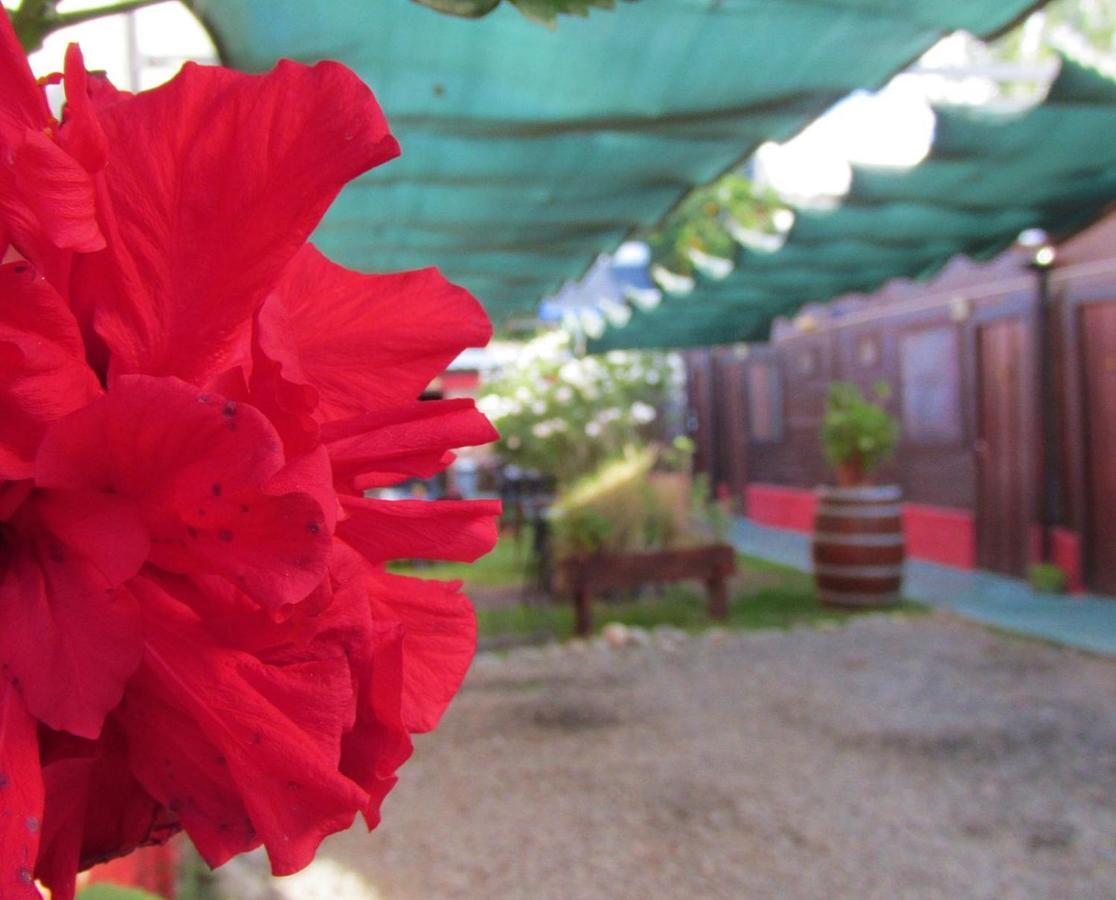 Hostal Del Suri Cafayate Εξωτερικό φωτογραφία